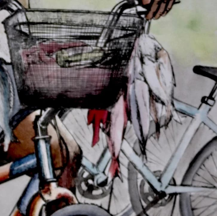 Detail of a bicycle basket and its rider
