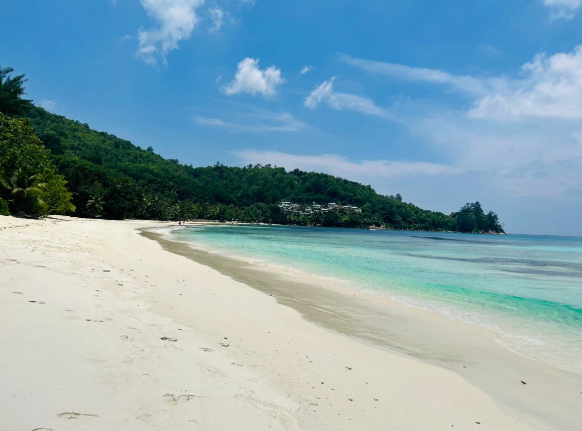 White sand and shallow turquoise water beneath a wooded ridge and blue sky